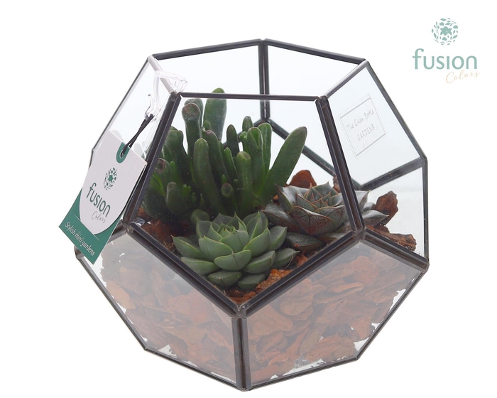 <h4>Geometrisch planter met succulenten</h4>