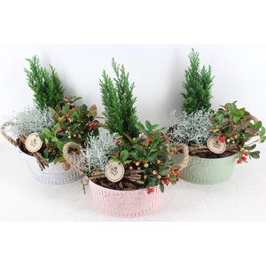 arr4 Outdoor PL - Zink pink green print