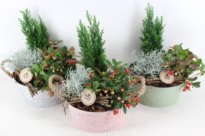 <h4>arr4 Outdoor PL - Zink pink green print</h4>