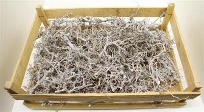 <h4>DROOG BONSAI PER KIST</h4>