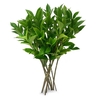 FOLHAGEM GARDENIA
