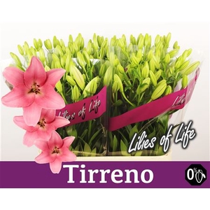 Li @ La Tirreno