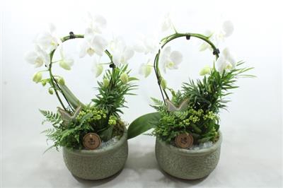<h4>7571 Ker Green Phal</h4>