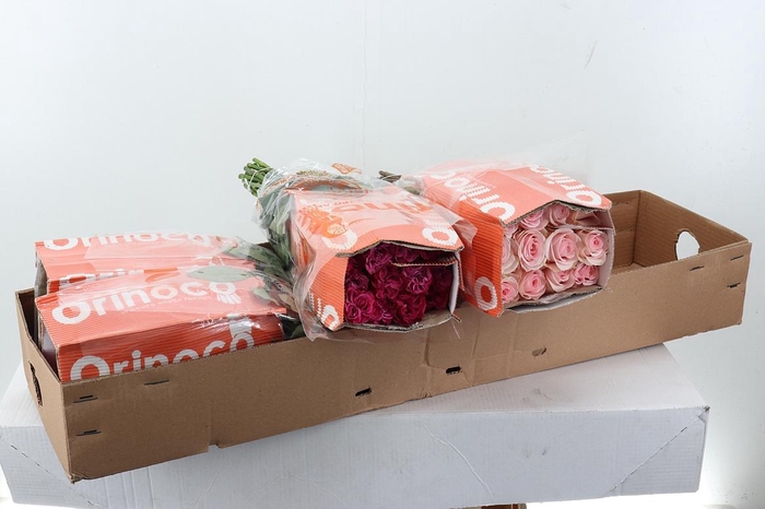 <h4>R Gr Assorti Mixed Box 50cm CO</h4>