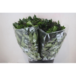 Hedera Berry 200gr P Bunch