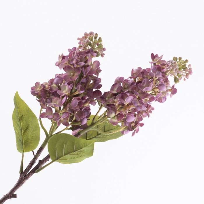 <h4>Syringa Spray Mauve FL440368MAU</h4>