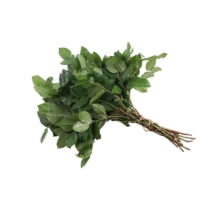 Salal Tips Orange Box X5