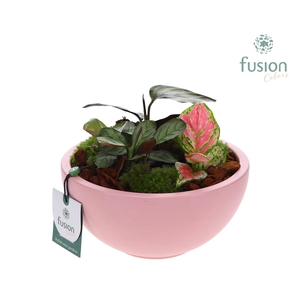 Schaal keramiek Moon Medium licht roze met groene planten