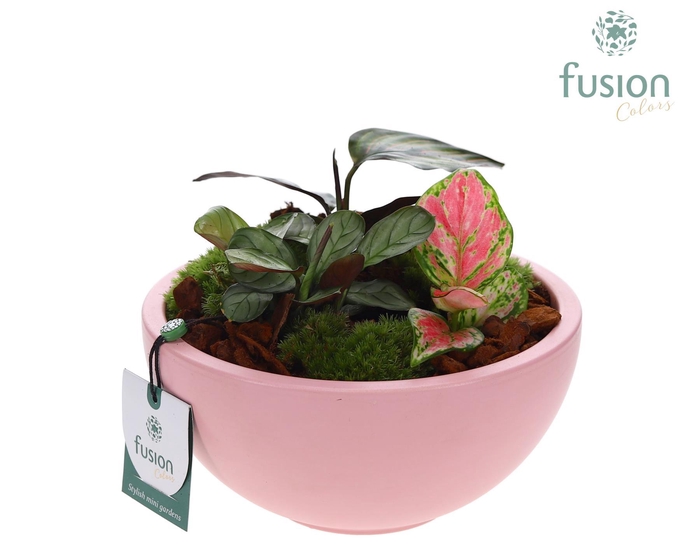 <h4>Schaal keramiek Moon Medium licht roze met groene planten</h4>