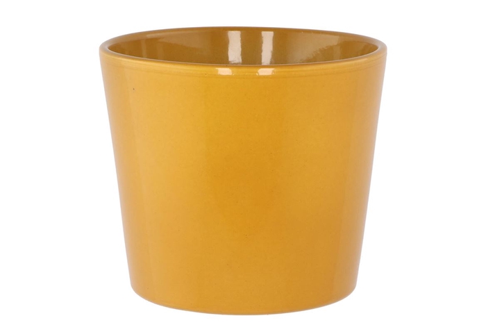 <h4>Ceramic Curry Shiny Pot 15cm</h4>