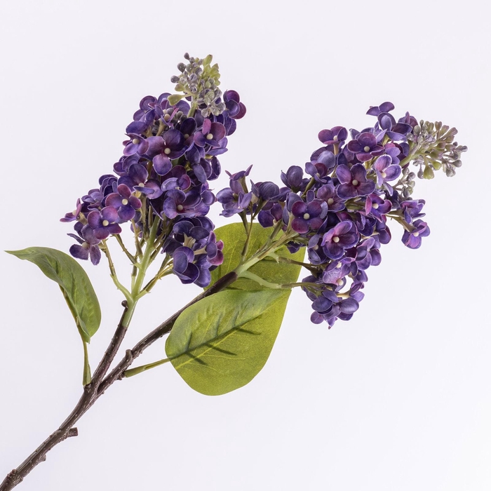 Syringa Spray Purple FL440368PRP