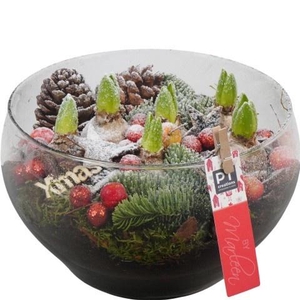 Opm Pt PTHCH6772 X-mas Glas Schaal