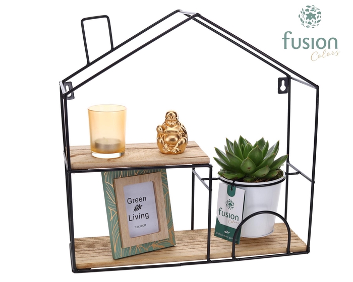 <h4>Wandhuis metaal met Crassula</h4>