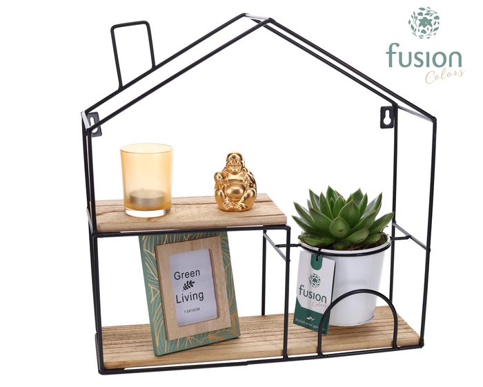 <h4>Wandhuis metaal met Crassula</h4>