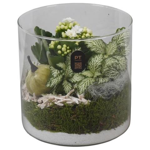 <h4>PTHG8209 Arrangement Autumn Glass in glas cylinder</h4>