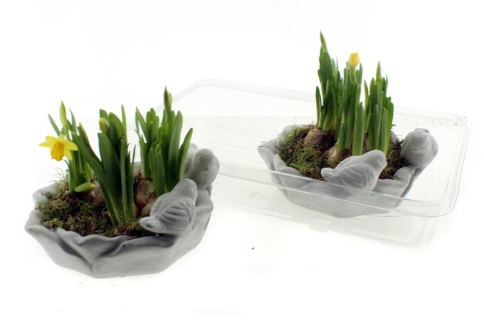 <h4>ARR N TETE A TETE</h4>