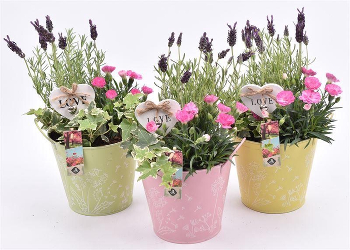 <h4>Zink pot bloemdecor k.mix 17cm</h4>
