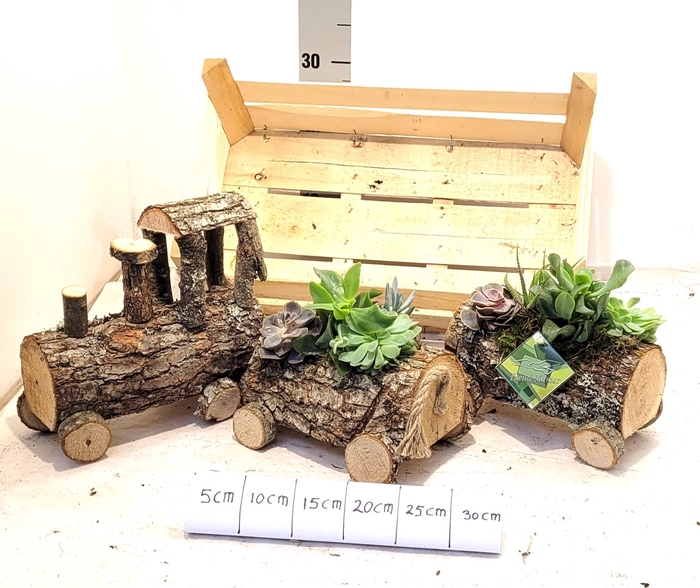 <h4>ARR TUINPLANTEN</h4>