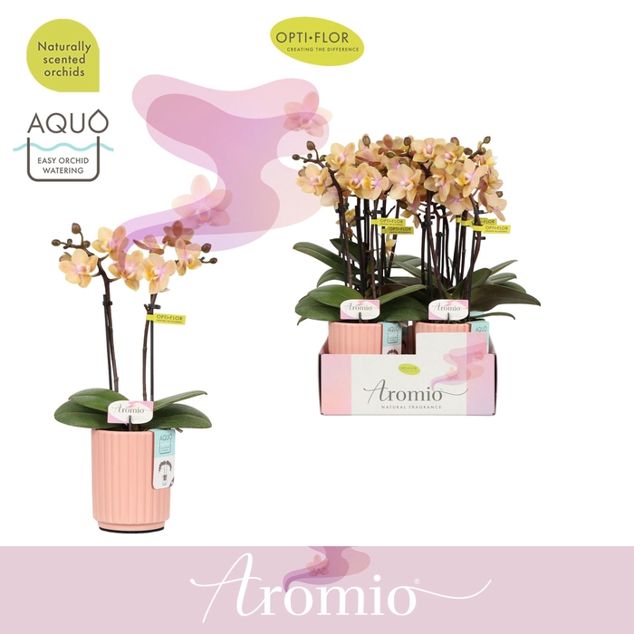 <h4>Aromio Mineral 2 spike in Molise Salmon Aquo</h4>