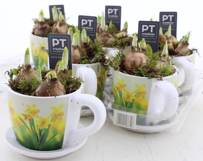 <h4>ARR N TETE A TETE</h4>