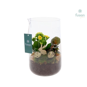 Green Bottle Deline Large Pasen met arrangement