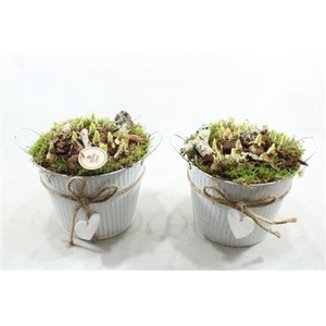 4473 ZINK EMMER HART