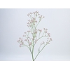 LIMONIUM 080 CM ROSA