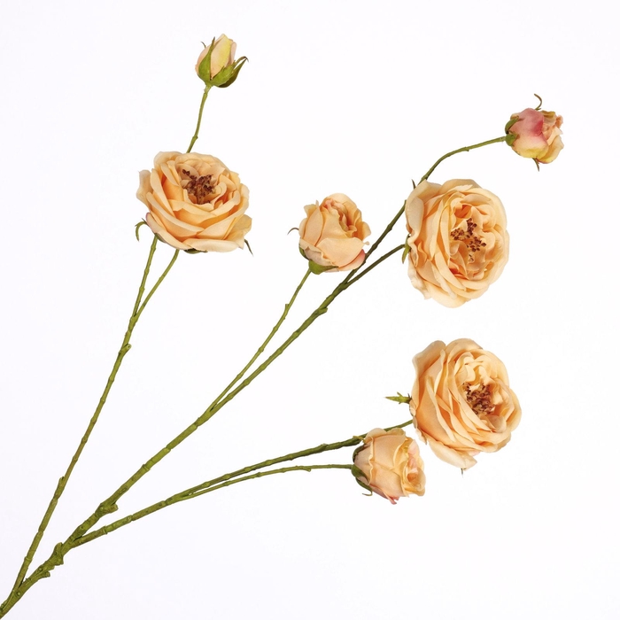 <h4>Rosa Spray Peach FL440343PEA</h4>