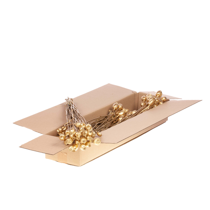 <h4>Papaver Sb Gold</h4>