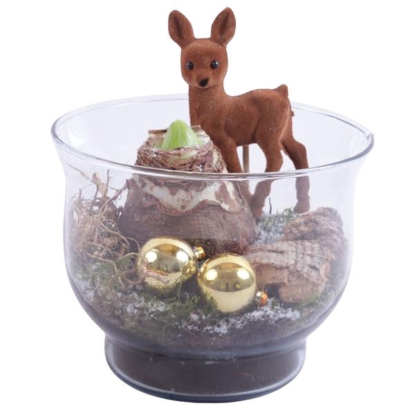 <h4>Christmas Arr. Amaryllis Glass Tulip Vase Ø16cm 1PP</h4>