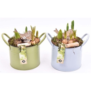 Zink ton kl.mix 15cm