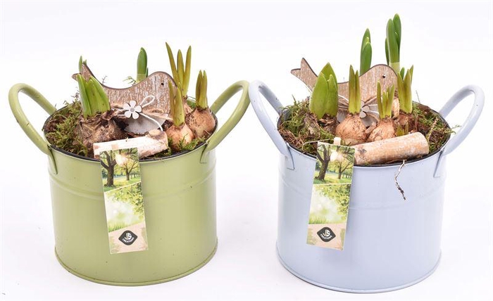 <h4>Zink ton kl.mix 15cm</h4>