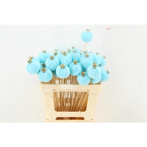 Stick Pomegranate V.6cm Blue