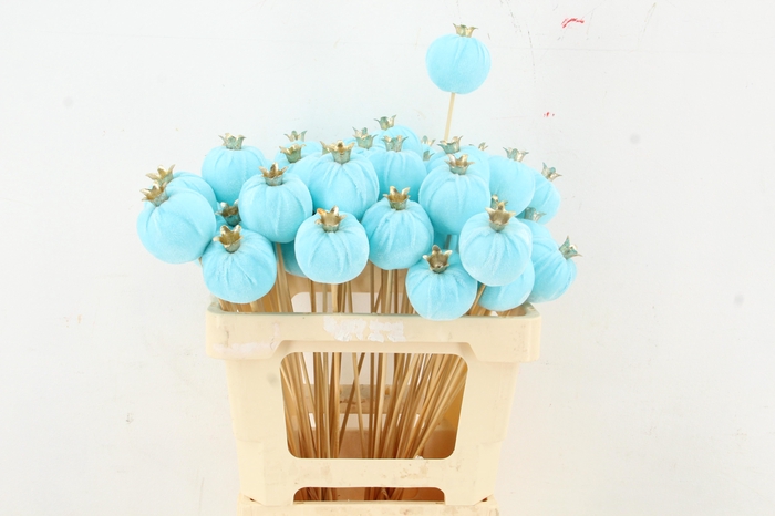 <h4>Stick Pomegranate V.6cm Blue</h4>