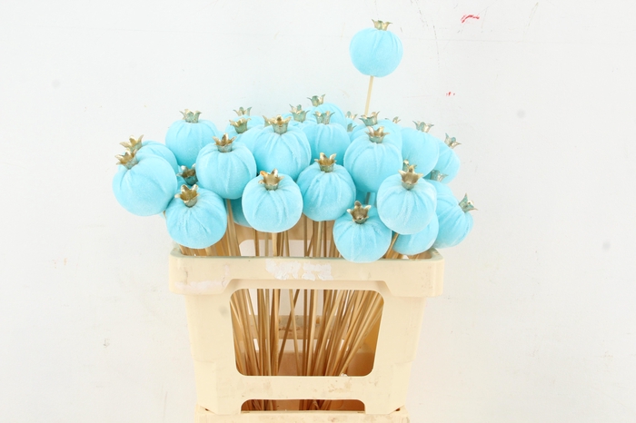 <h4>Stick Pomegranate V.6cm Blue</h4>