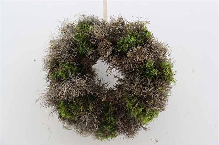 <h4>Wr Iron Grass Moss 30cm</h4>