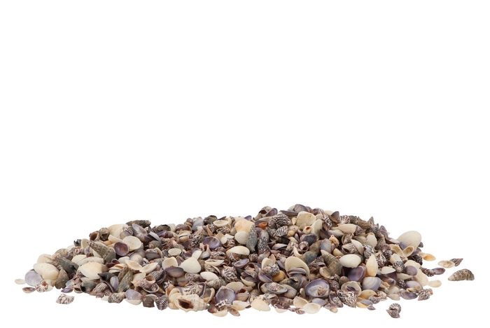 <h4>Schelp Mix Klein 1 Kg Per 1</h4>