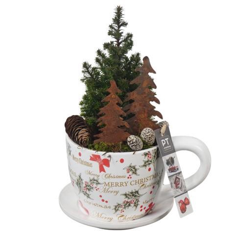 <h4>PTCWW6913 Arrangement Winter in keramiek pot</h4>