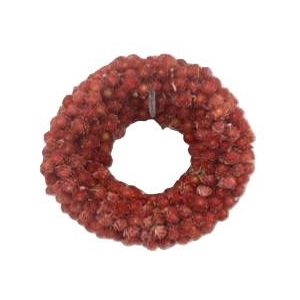 Wreath Gomphrena D15
