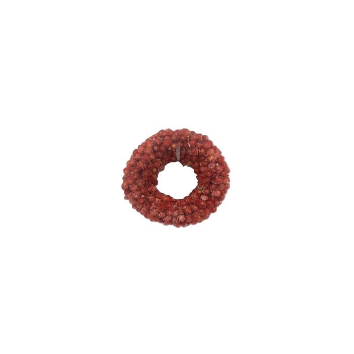 <h4>Wreath Gomphrena D15</h4>