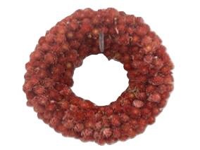 Wreath Gomphrena D15