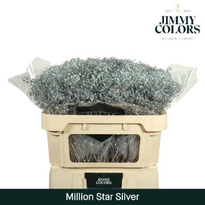 Gyps Million Star L70 Metallic Silver