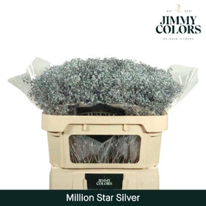 Gyps Million Star L70 Silver