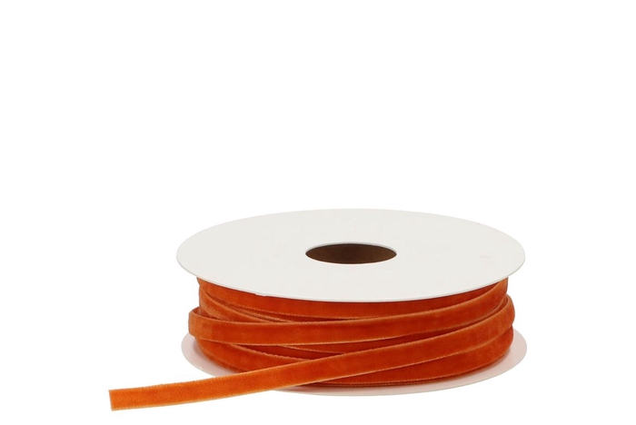 <h4>Ribbon Velvety 58 Cognac 20mx6mm Nm</h4>