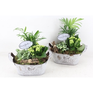 arr2 TD - Zink ovaal wit