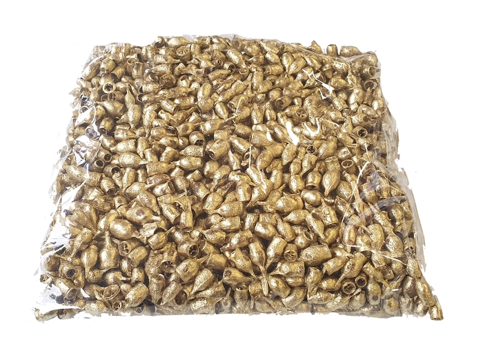 Eucaly bell 250gr in poly Gold