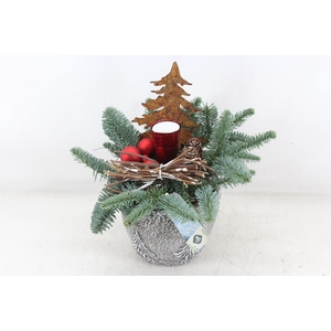 arr5 Kerst JS - Ker. pot kerstboom print rood