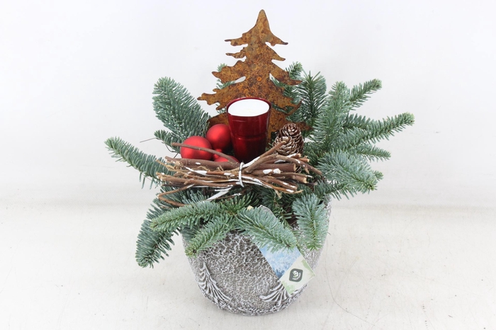 <h4>arr5 Kerst JS - Ker. pot kerstboom print rood</h4>