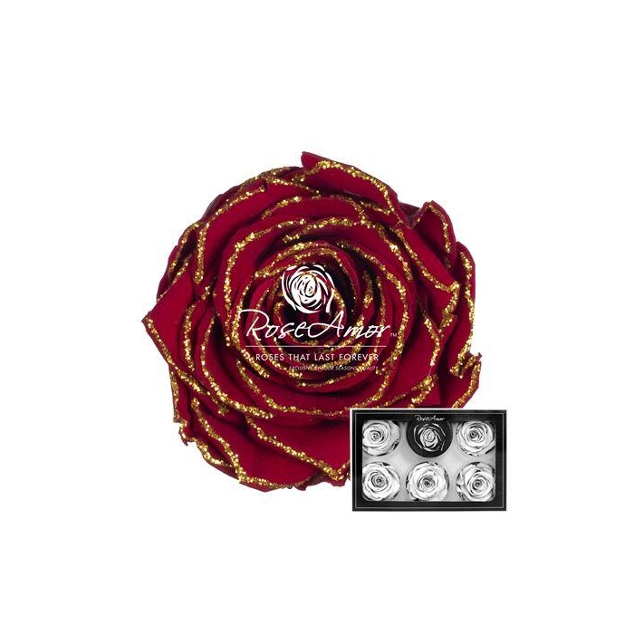 <h4>Xl Glitter Gold Red01</h4>