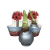 HIPPEASTRUM-HYBRID P14